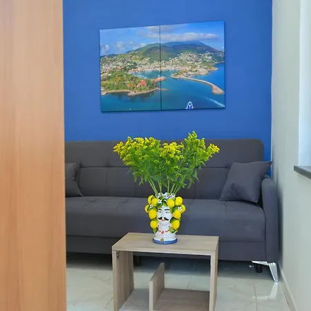 Myosotis - With Terrace In