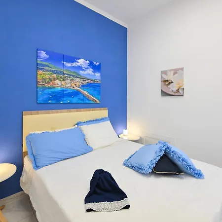 Myosotis - With Terrace In